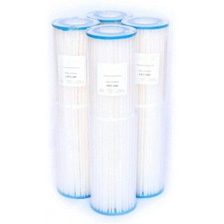 LITYPEND Pool Filter Cartridge 4 Pack Replacement for Pentair Quad DE 80 Filter,  from the USA