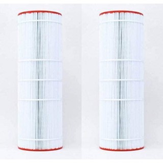 Unicel C-9419-2 Replacement Filter Cartridge (2 Pack)