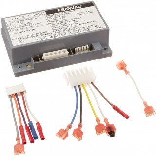Pentair 460783 Ignition Control Module Replacement Kit MiniMax NT Pool and Spa Heater