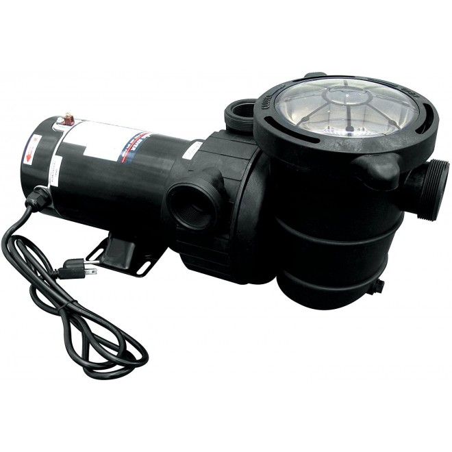 Blue Wave NE6181 Tidal Wave 2-Speed Replacement Pump for Above Ground Pool, 1 HP,Black