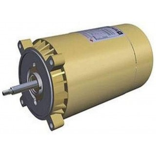Hayward SPX1615Z1M 2-HP Maxrate Motor Replacement for Select Hayward Pumps