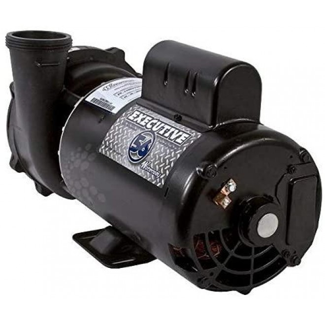 Waterway Executive 56-Frame 4HP Single-Speed Spa Pump, 2in. Intake, 2in. Discharge, 230V 3711621-1D