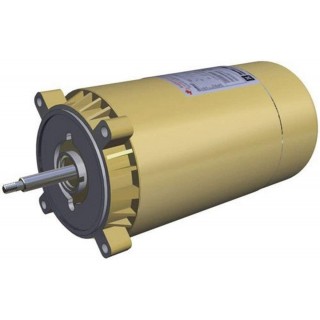 Hayward SP1610Z1MBKMaxrate Motor Replacement for Select Hayward Pumps, 1.5 HP
