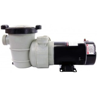 Rx Clear Dorado 1-1/2 HP Dual Port Pump | Above-Ground Swimming Pool Pump | 115V 9 Amps | See-Through Strainer Cover | Energy Efficient | Low Maintenance