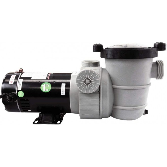 Rx Clear Dorado 1-1/2 HP Dual Port Pump | Above-Ground Swimming Pool Pump | 115V 9 Amps | See-Through Strainer Cover | Energy Efficient | Low Maintenance