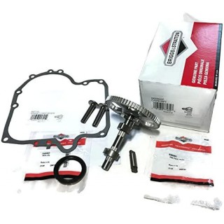 Kit for Some Briggs and Stratton Camshaft 84005207 Includes 697110 Crankcase Gasket 795387 Oil Seal Made in The USA